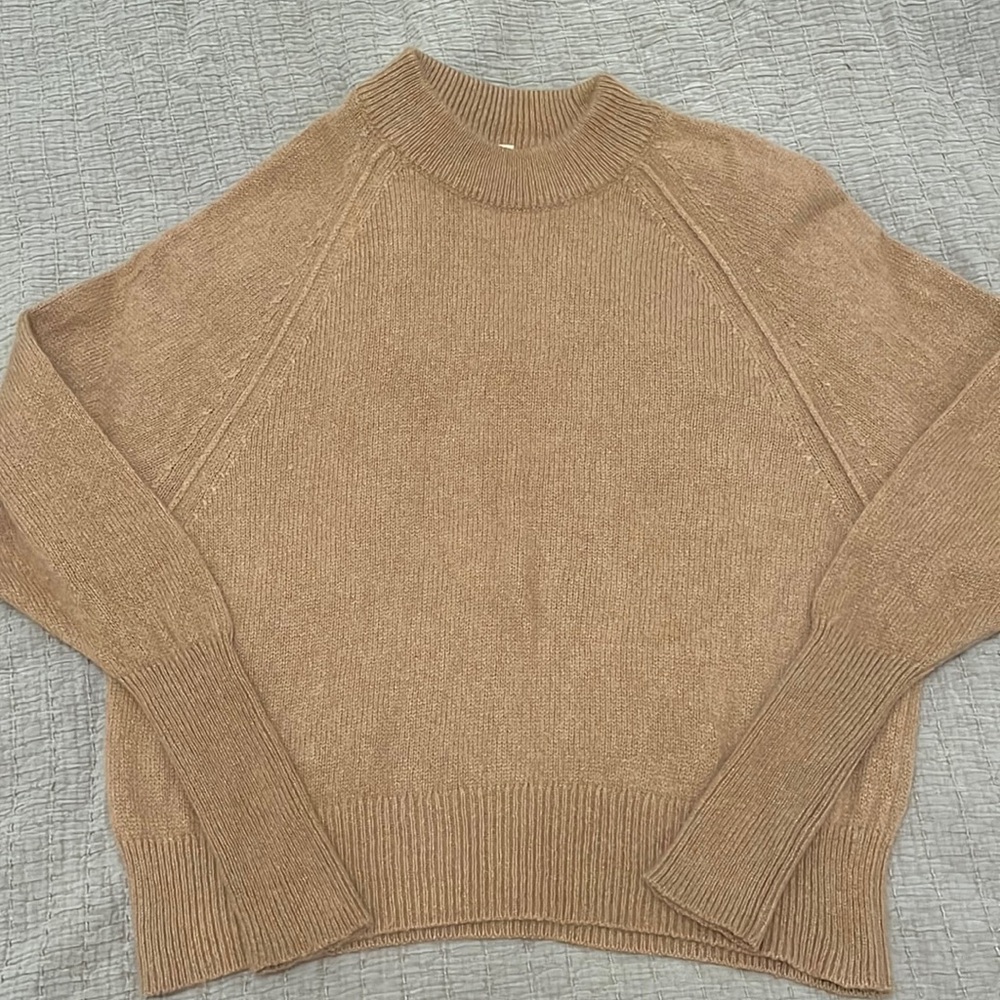 Aritzia Group by Babaton Luxe 100% Cashmere Crew Sweater